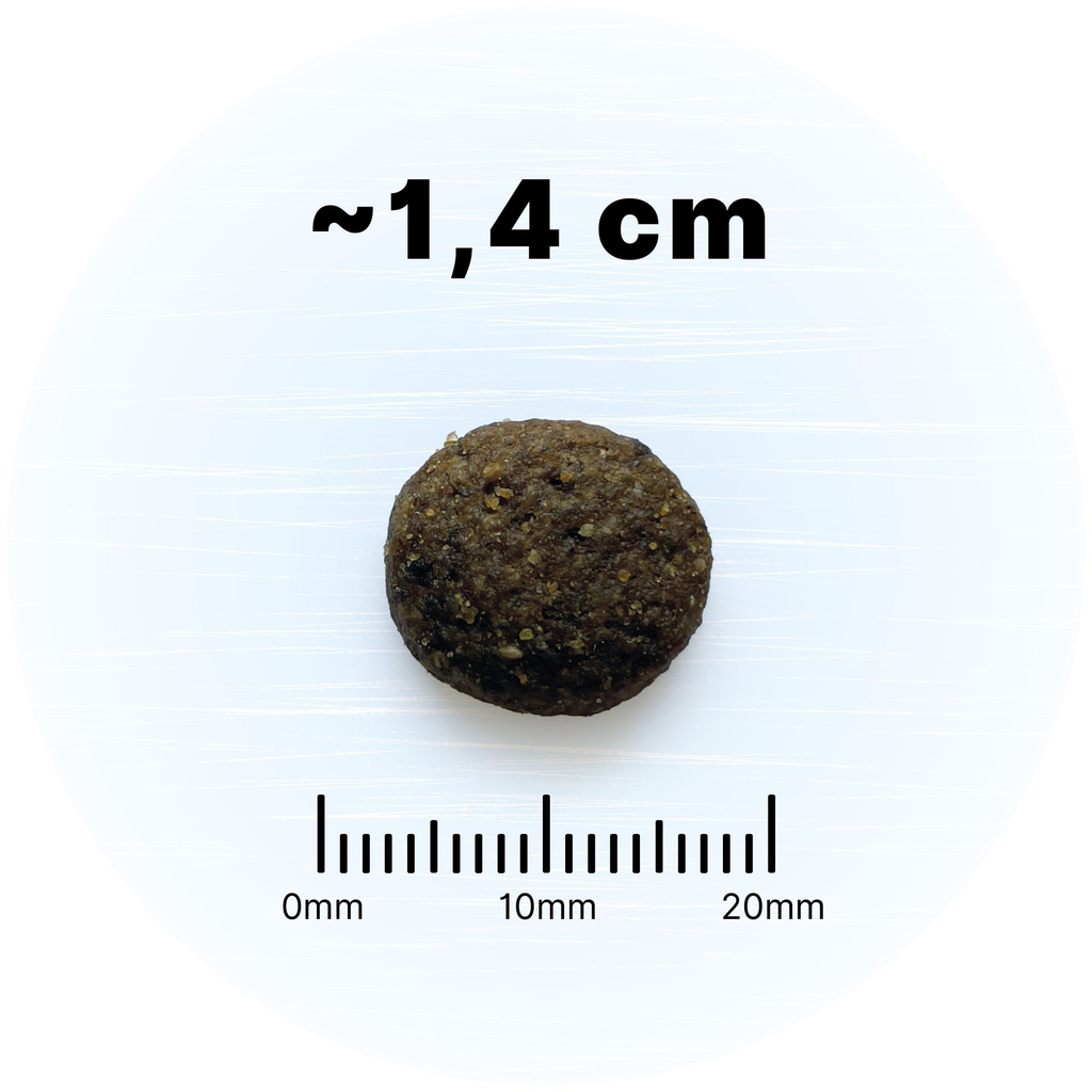 taille-croquettes-wm-wild-forest.webp